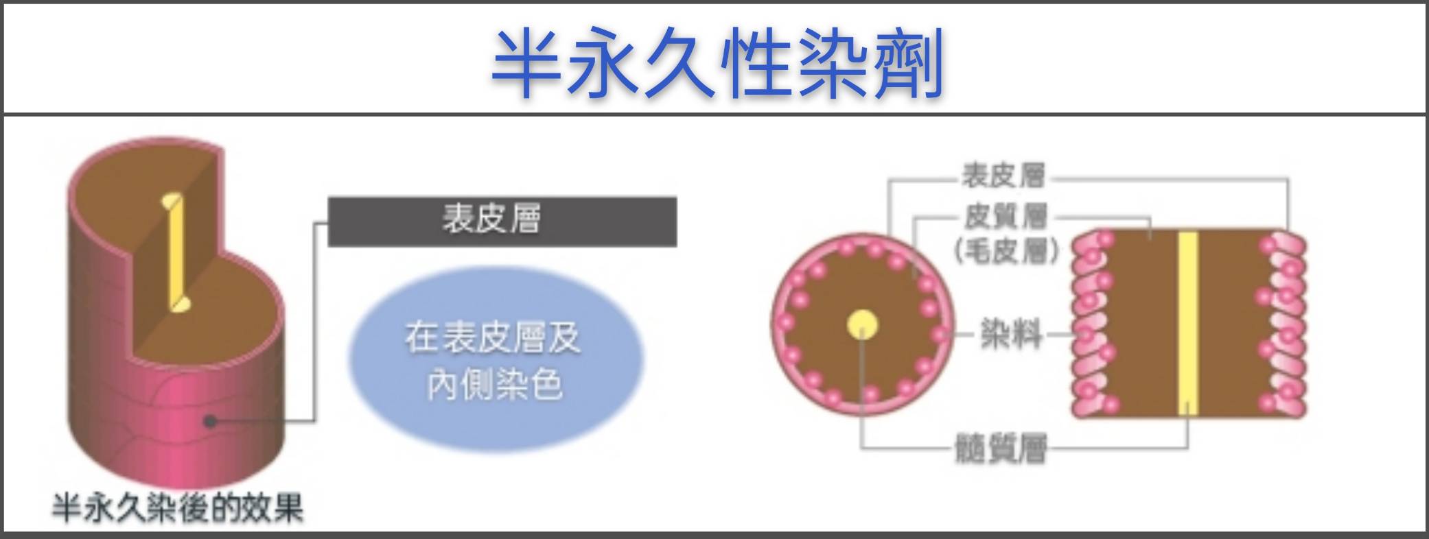【台中染髮】時常在染髮的你(妳),知道染劑的種類有哪些嗎?52