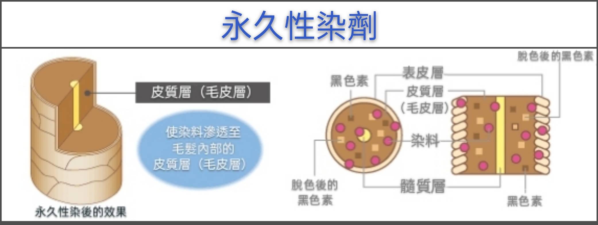 3【台中染髮】時常在染髮的你(妳),知道染劑的種類有哪些嗎?53