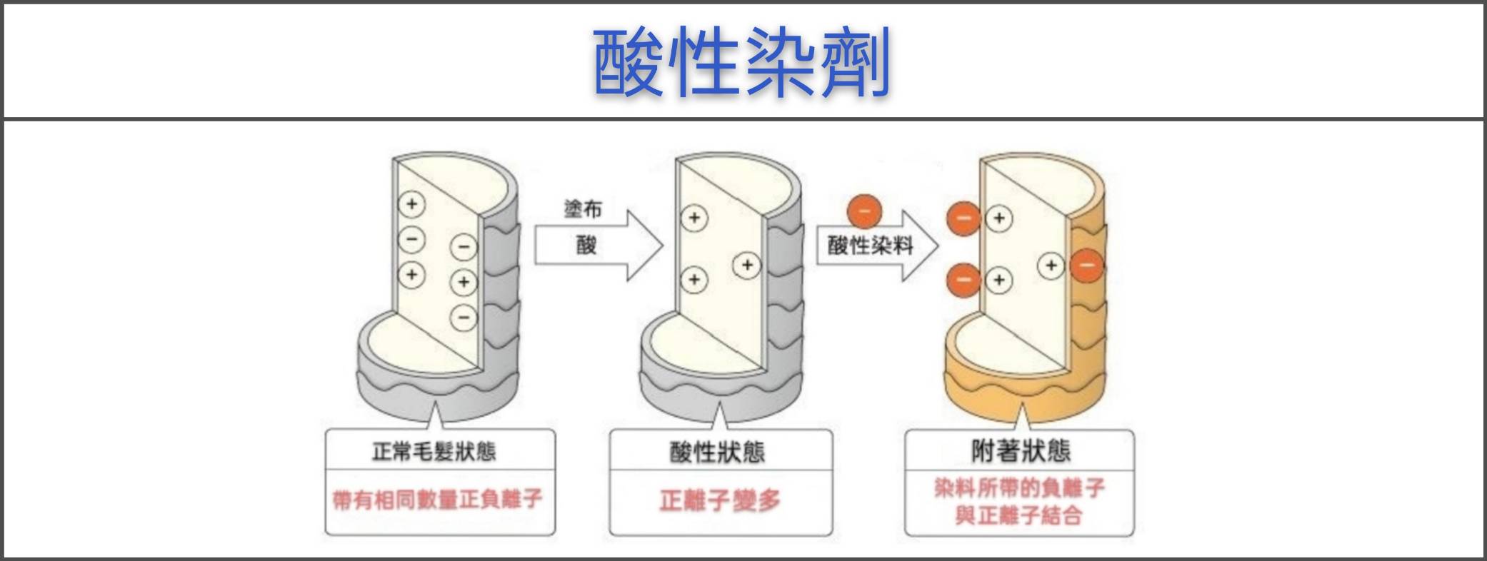 【台中染髮】時常在染髮的你(妳),知道染劑的種類有哪些嗎?54