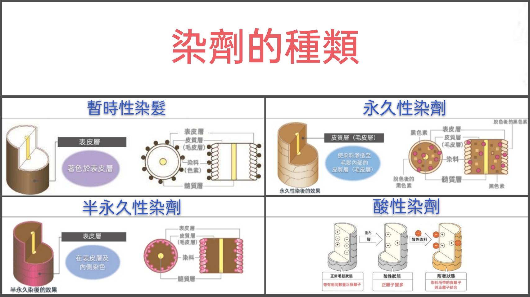 【台中染髮】時常在染髮的你(妳),知道染劑的種類有哪些嗎?